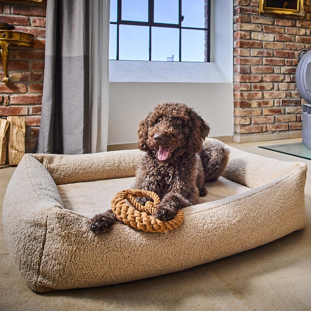 Panier pour chien déhoussable - TEDDY - Kasibe