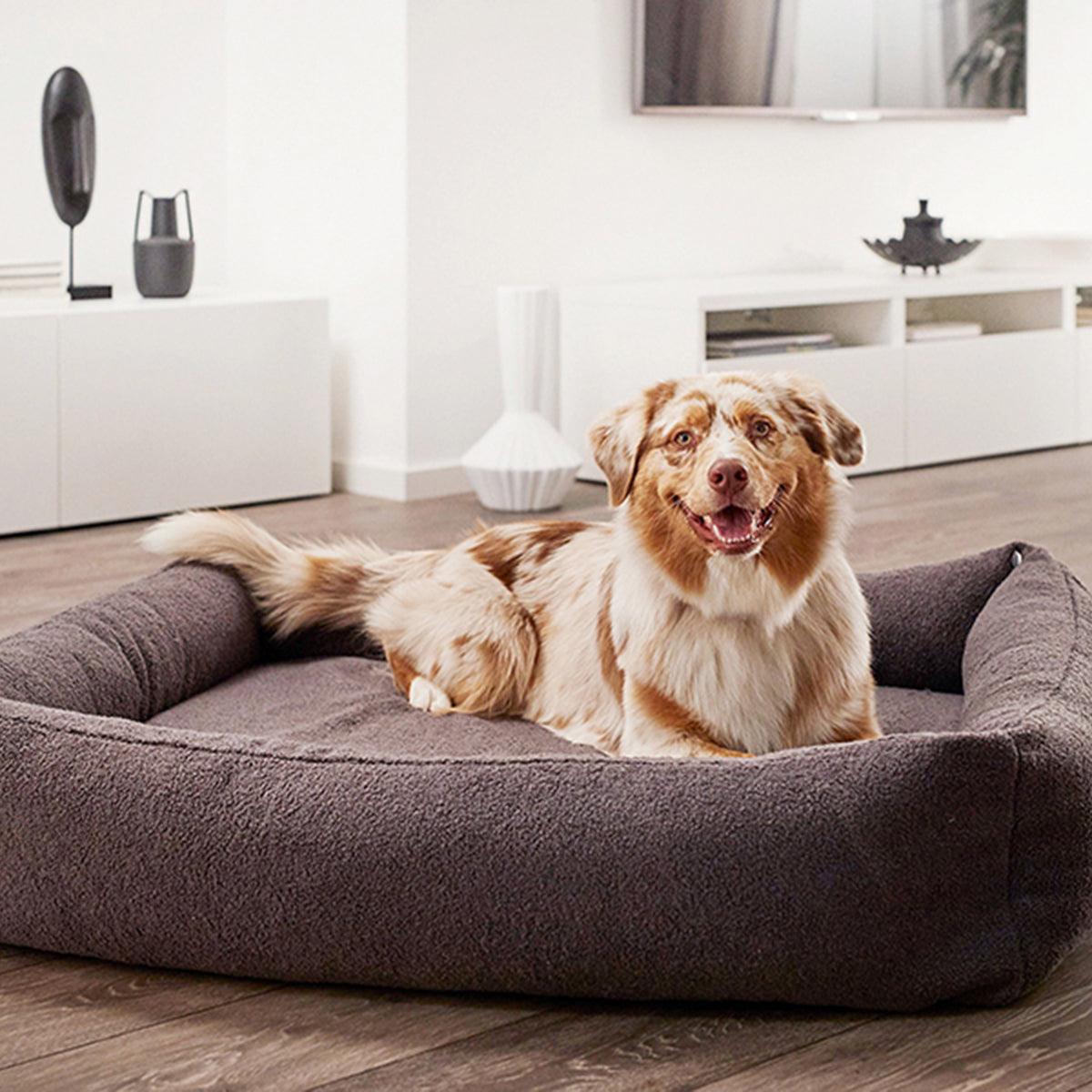 Panier pour chien déhoussable - TEDDY - Kasibe