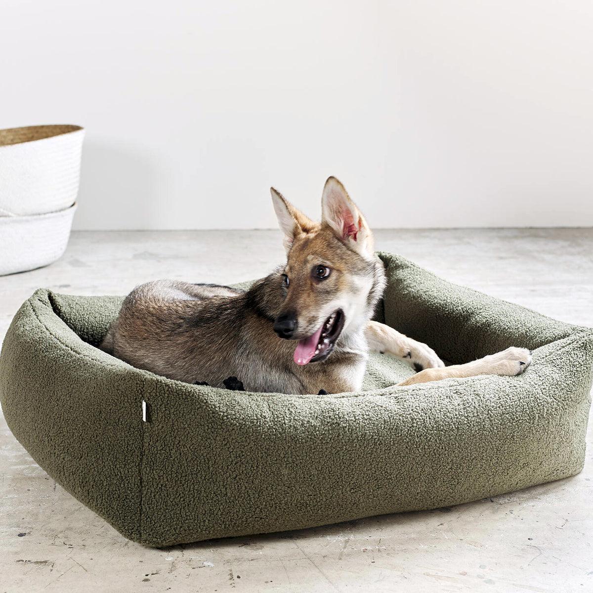 Panier pour chien déhoussable - TEDDY - Kasibe