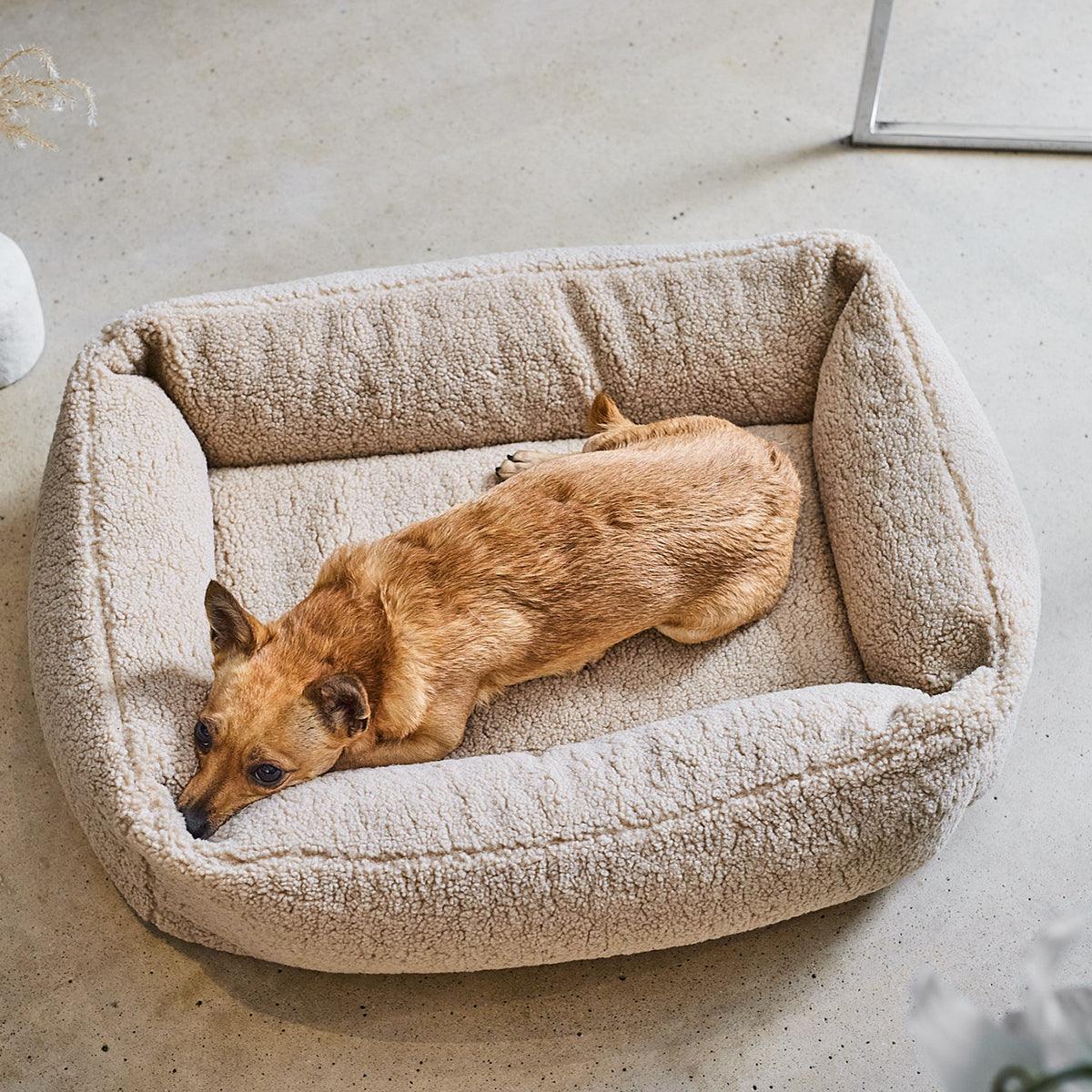 Panier pour chien déhoussable - TEDDY - Kasibe