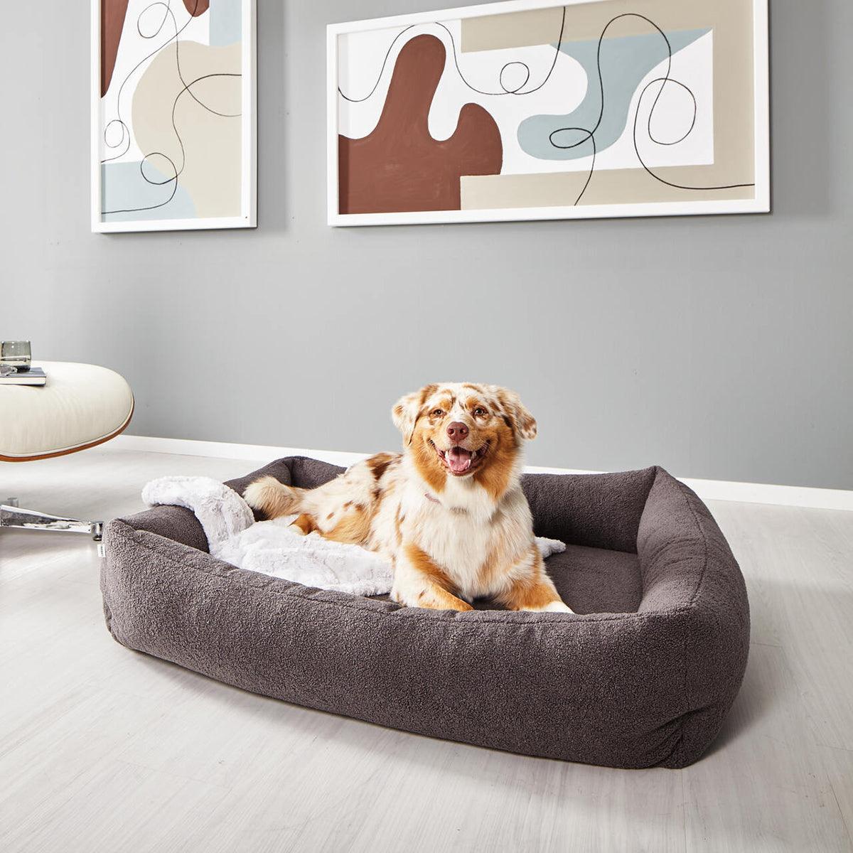 Panier pour chien déhoussable - TEDDY - Kasibe