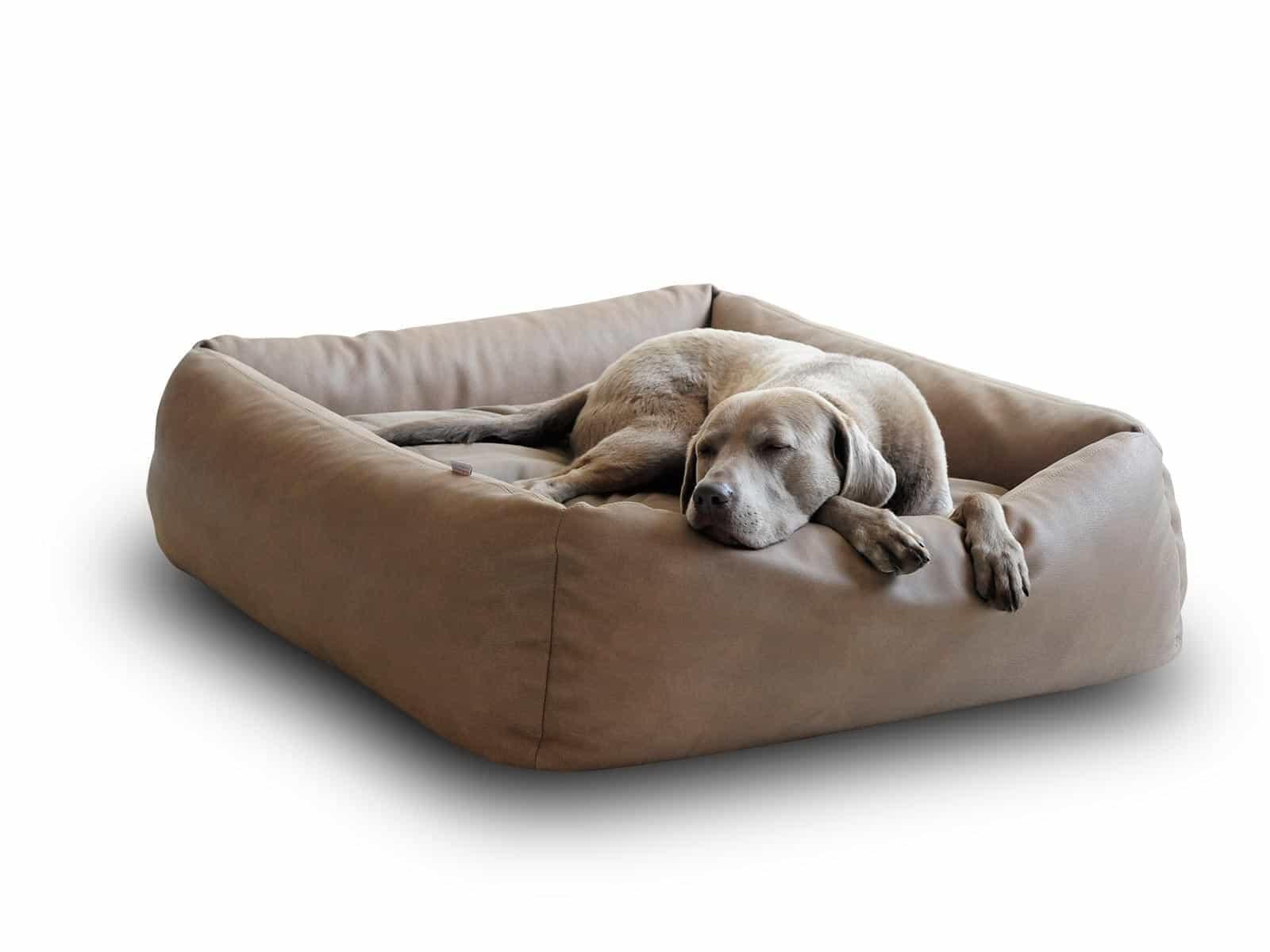 Panier pour chien en cuir - BOOX - Kasibe