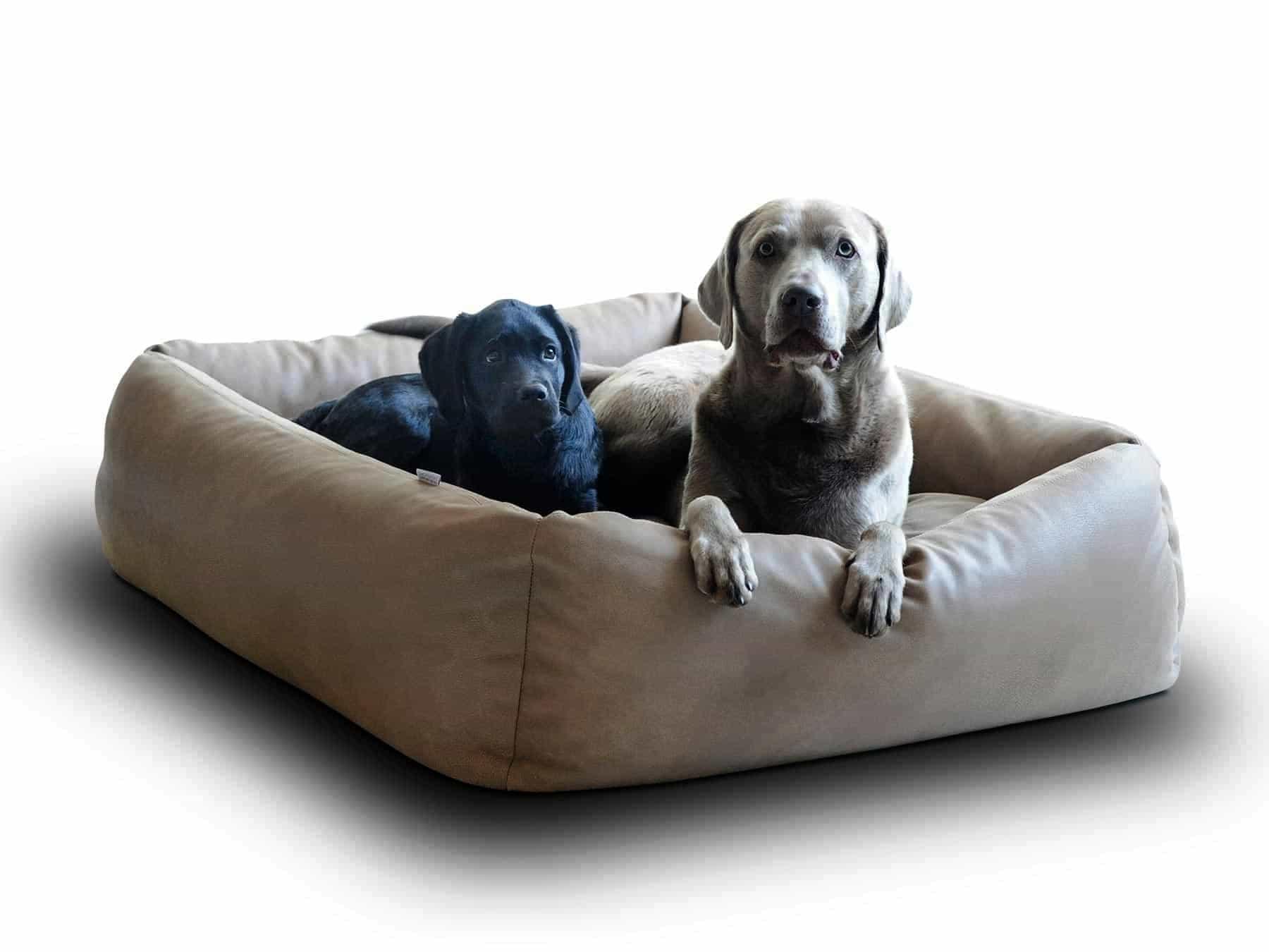 Panier pour chien en cuir - BOOX - Kasibe