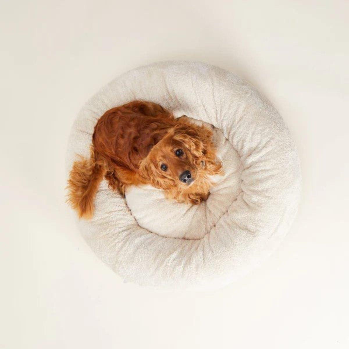 Panier pour chien en peluche - COMFY - Kasibe