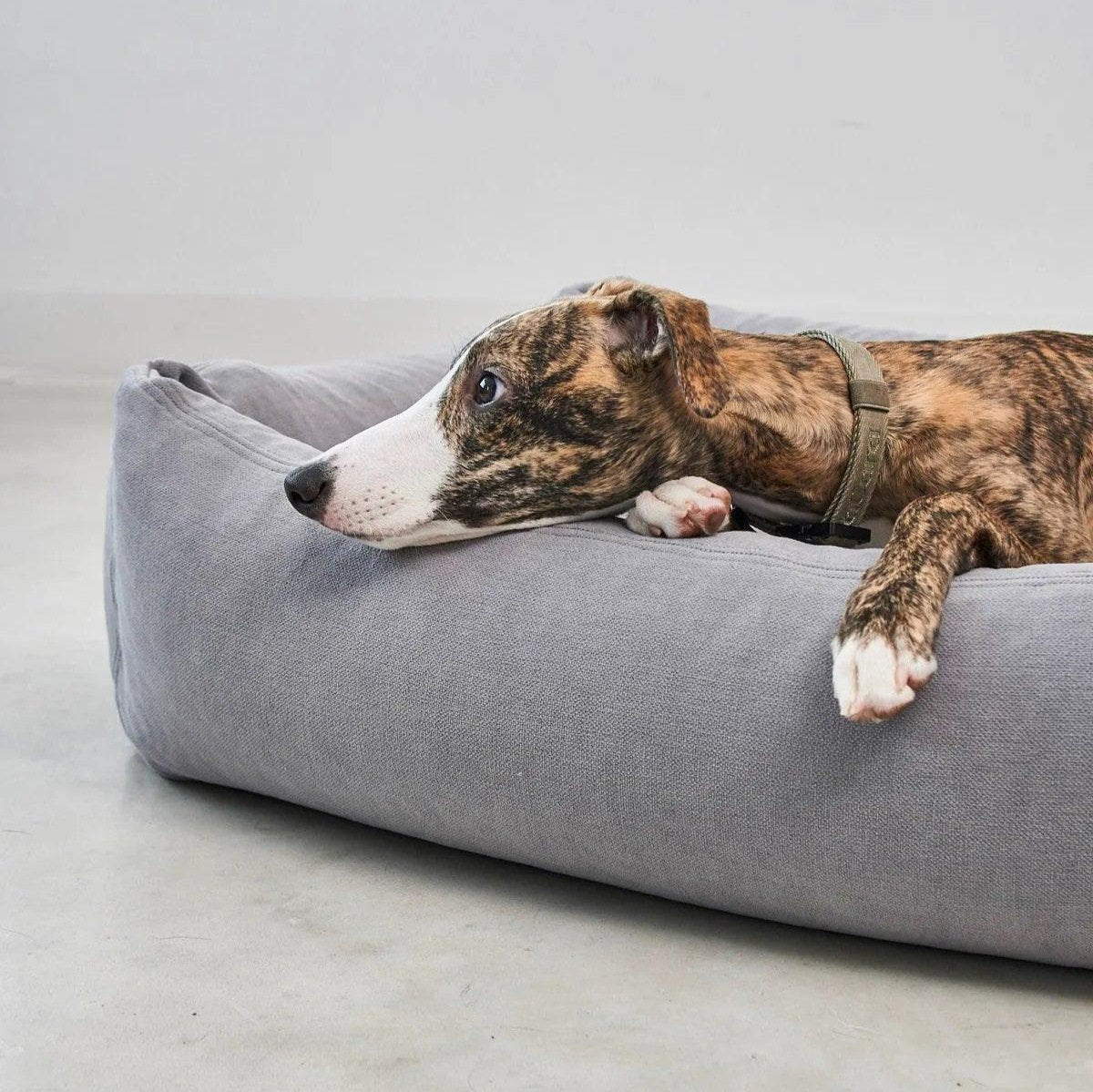 Panier pour chien lavable - COMODO - Kasibe