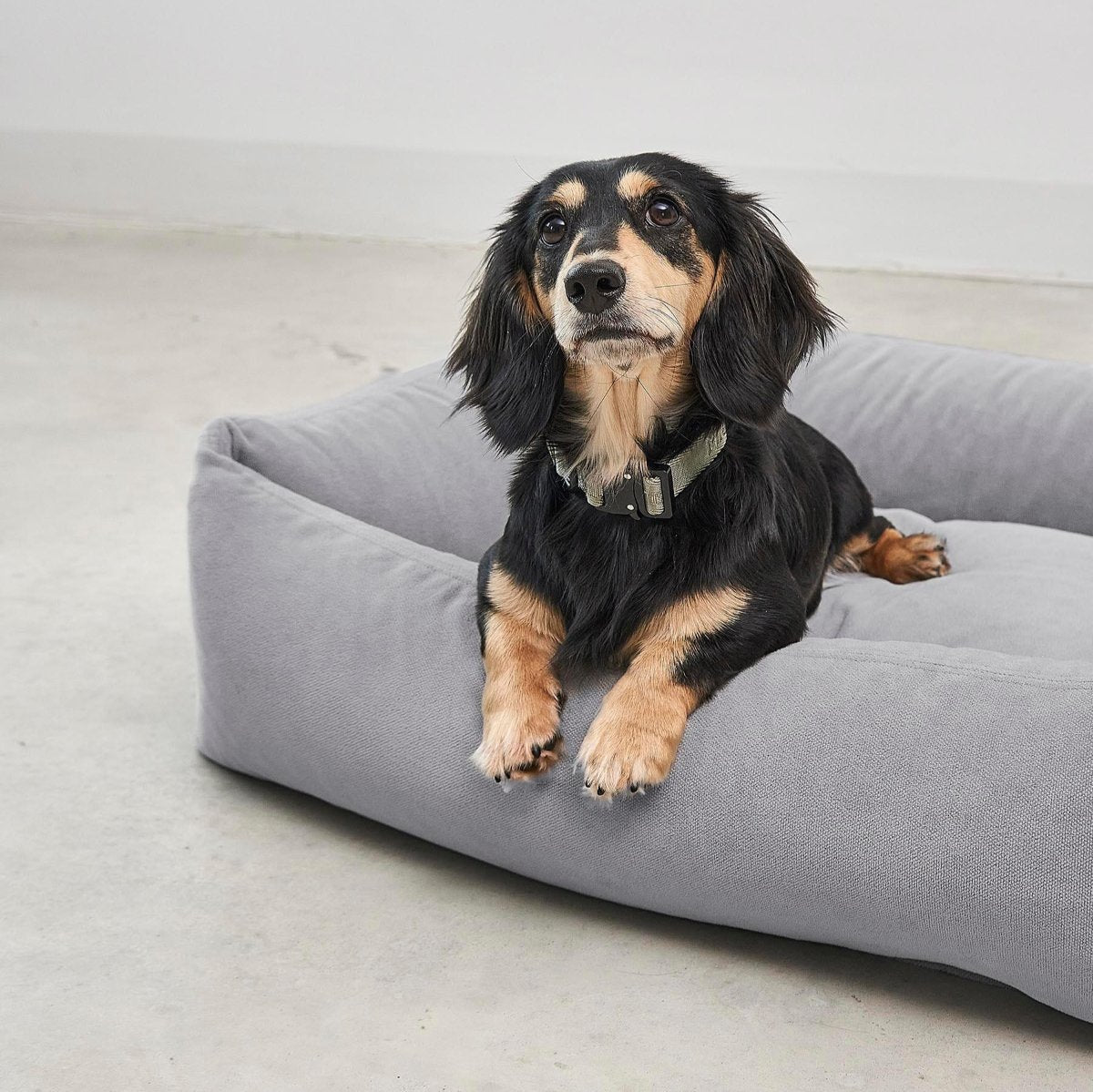 Panier pour chien lavable - COMODO - Kasibe