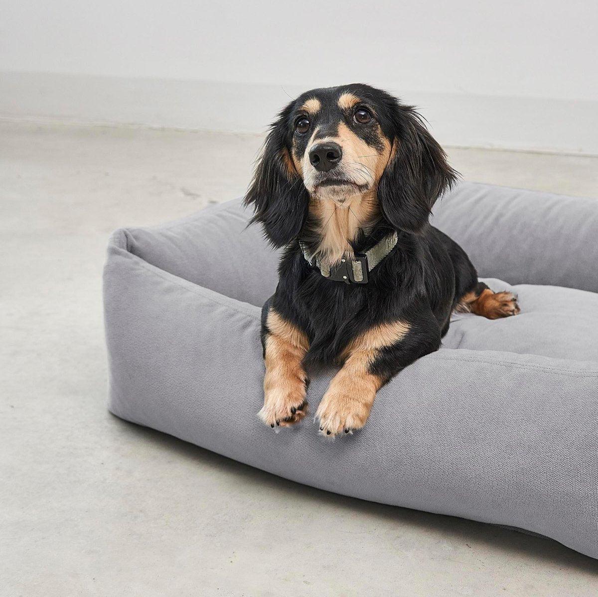 Panier pour chien lavable - COMODO - Kasibe