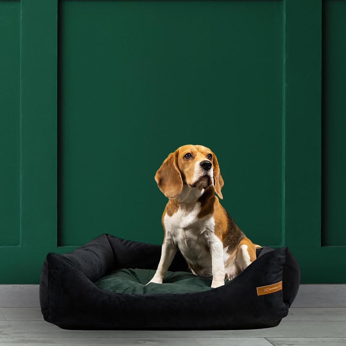 Panier pour chien ou chat - OTTO - Kasibe