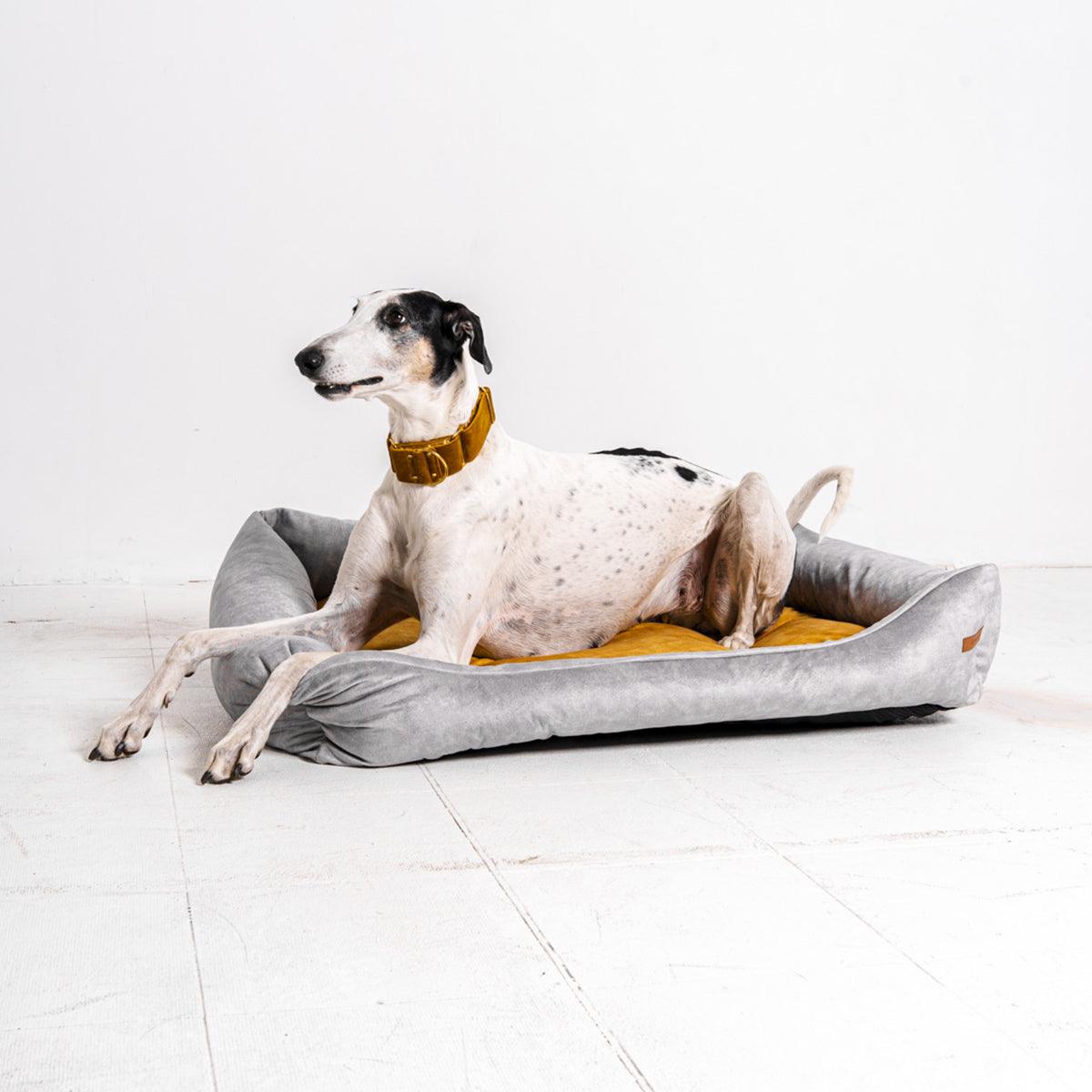 Panier pour chien ou chat - OTTO - Kasibe
