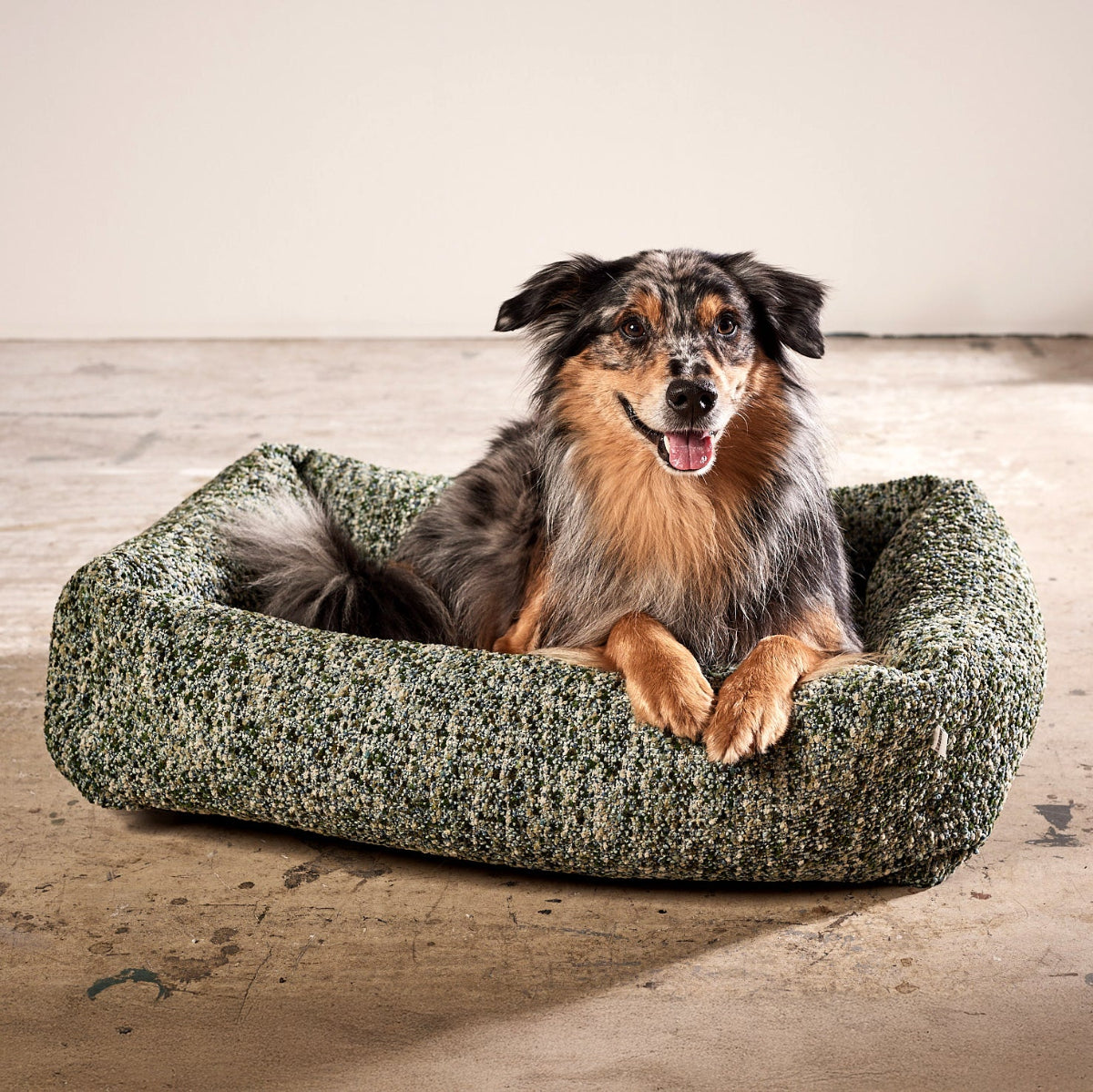 panier pour chien confortable vert - kasibe