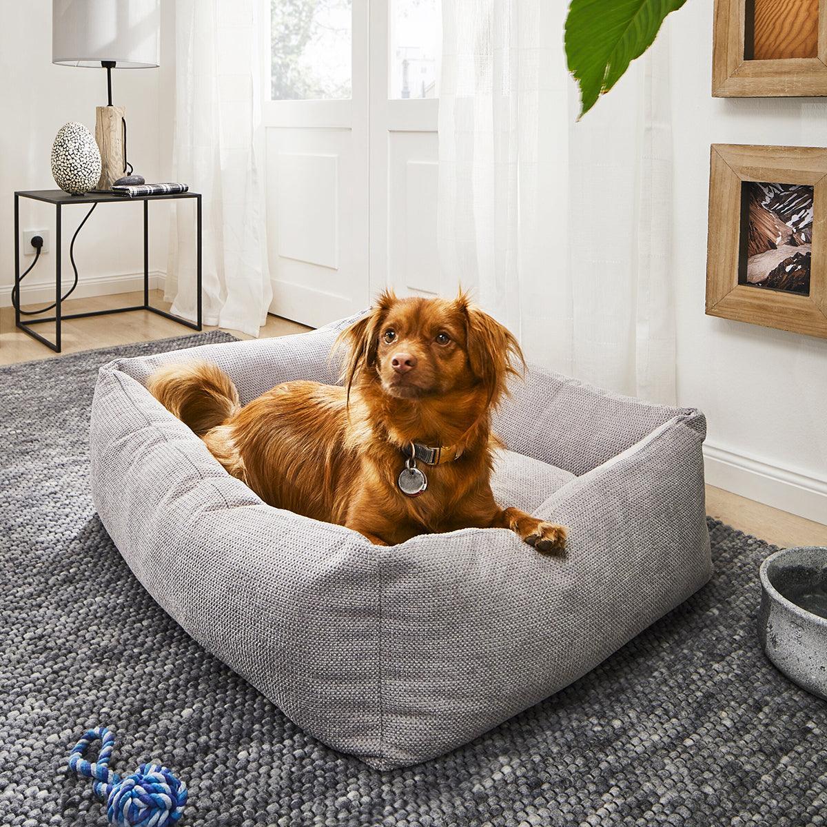 Panier pour chien très confortable - kasibe
