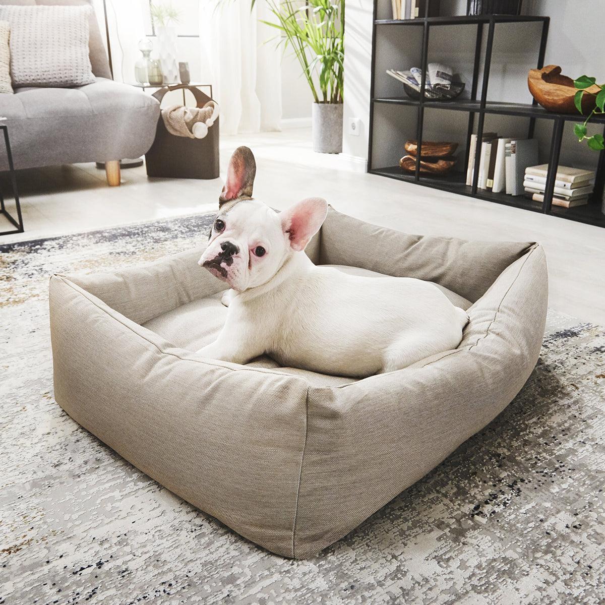 Panier pour chien classique - kasibe