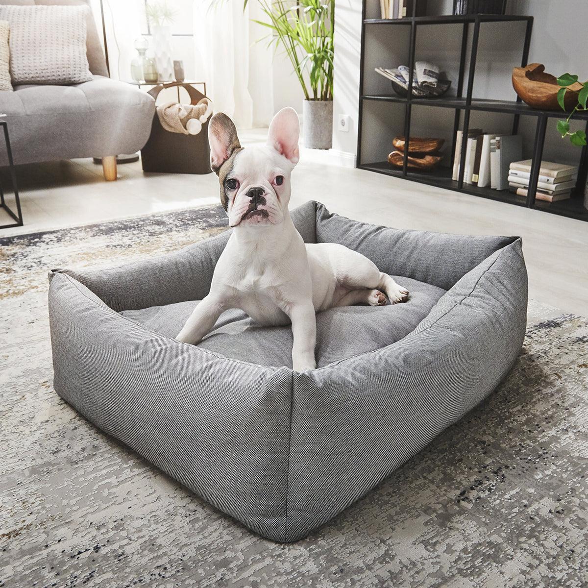 Panier pour chien classique - kasibe