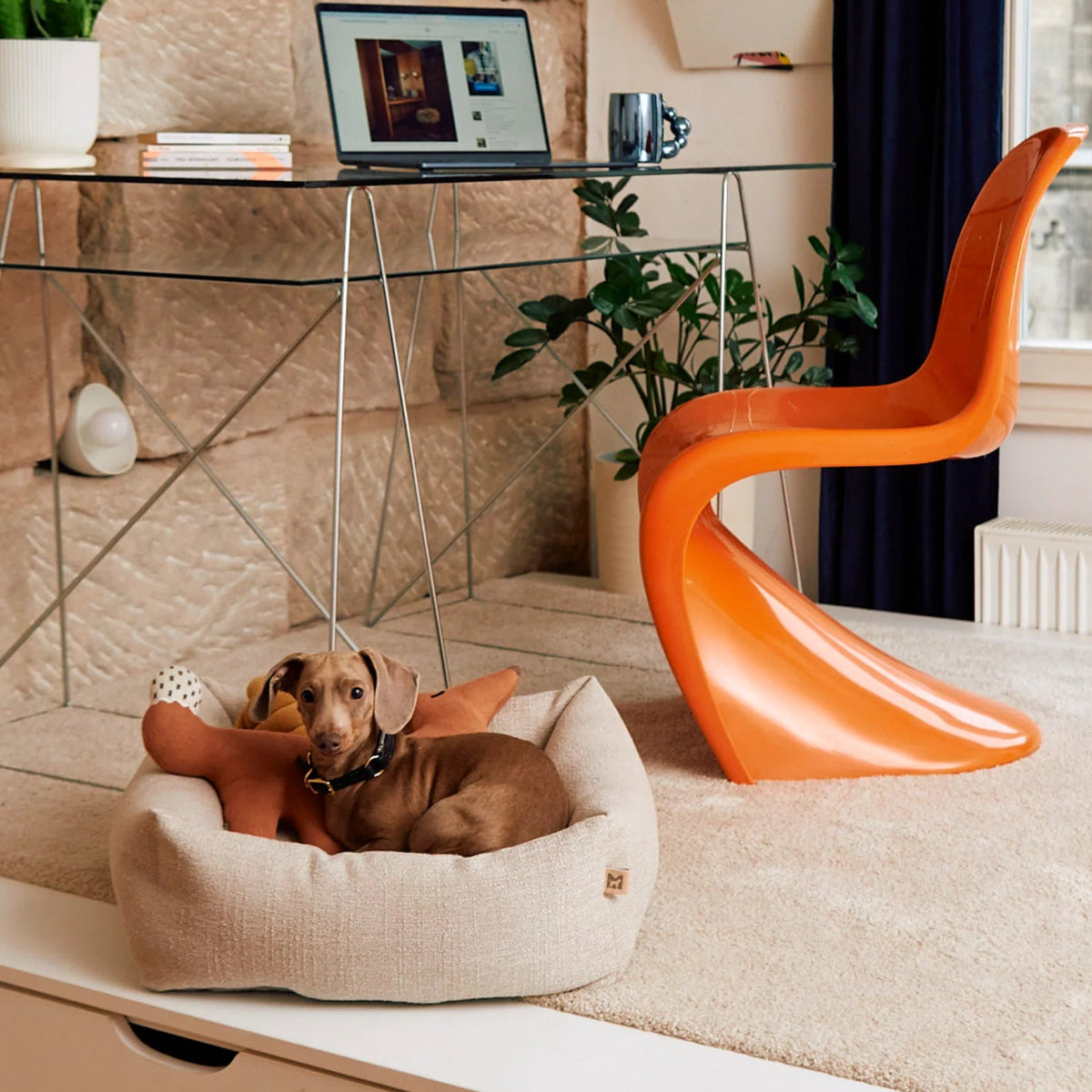 Panier orthopédique pour petit chien greige - kasibe
