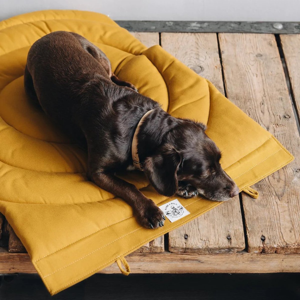 Plaid de voiture pour chien - COMPASS - Kasibe