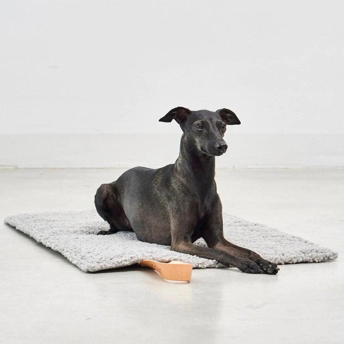 Plaid de voyage pour chien - COSMO SENSO - Kasibe