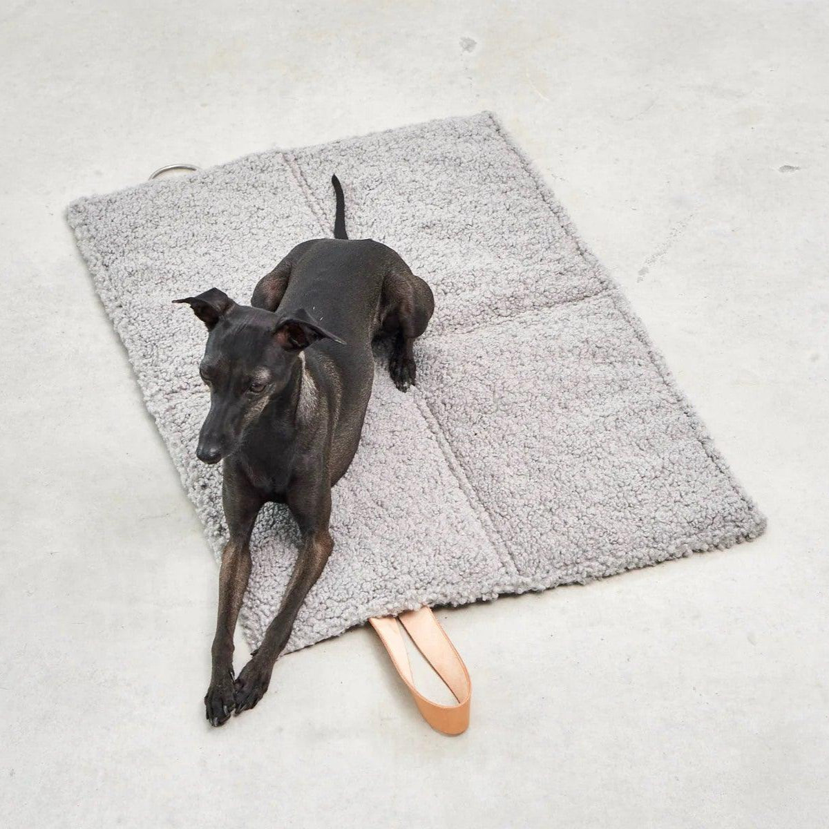 Plaid de voyage pour chien - COSMO SENSO - Kasibe