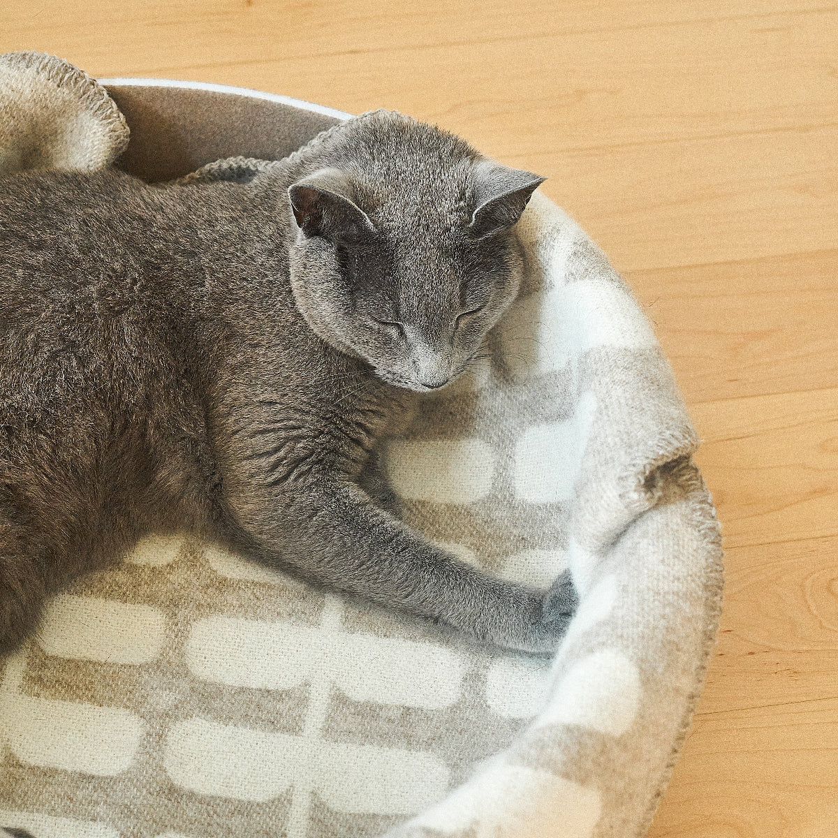 plaid en laine pour chat flora - kasibe