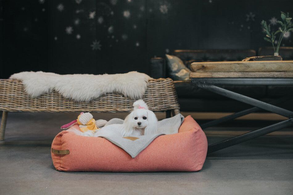 Plaid pour chien en feutre - ZEN - Kasibe