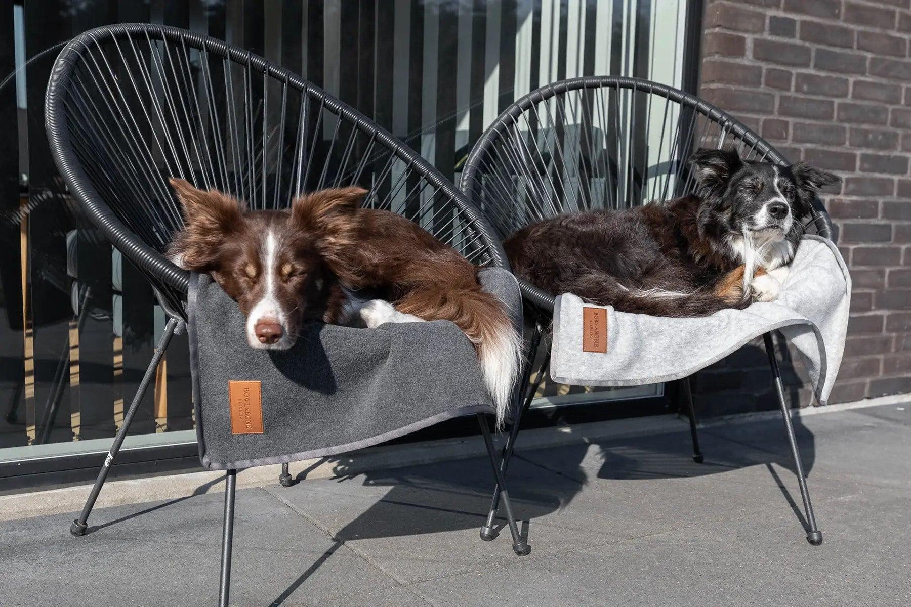 Plaid pour chien en feutre - ZEN - Kasibe