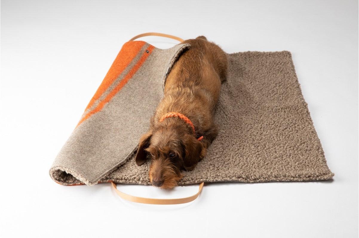 Plaid pour chien en laine bouclée - STEVE LAINE - Kasibe