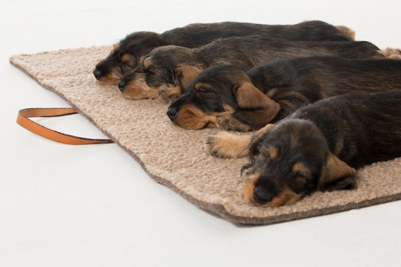 Plaid pour chien en laine bouclée - STEVE LAINE - Kasibe