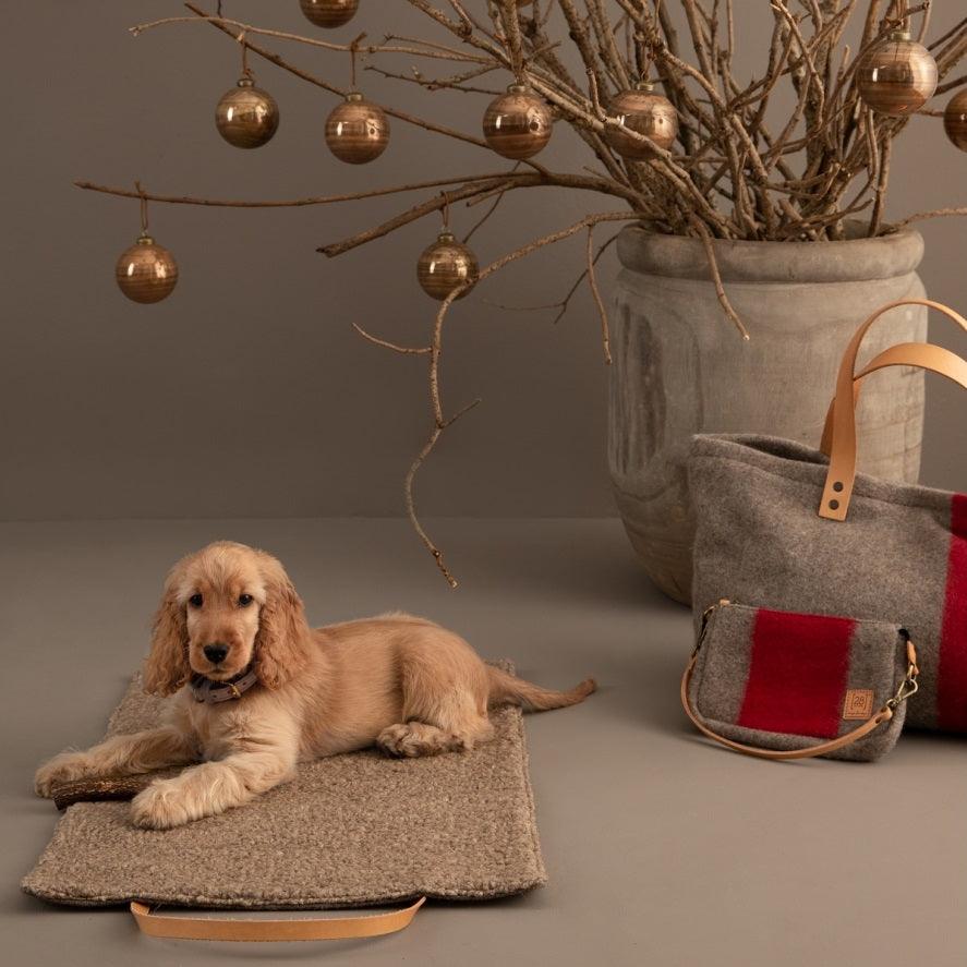 Plaid pour chien en laine bouclée - STEVE LAINE - Kasibe