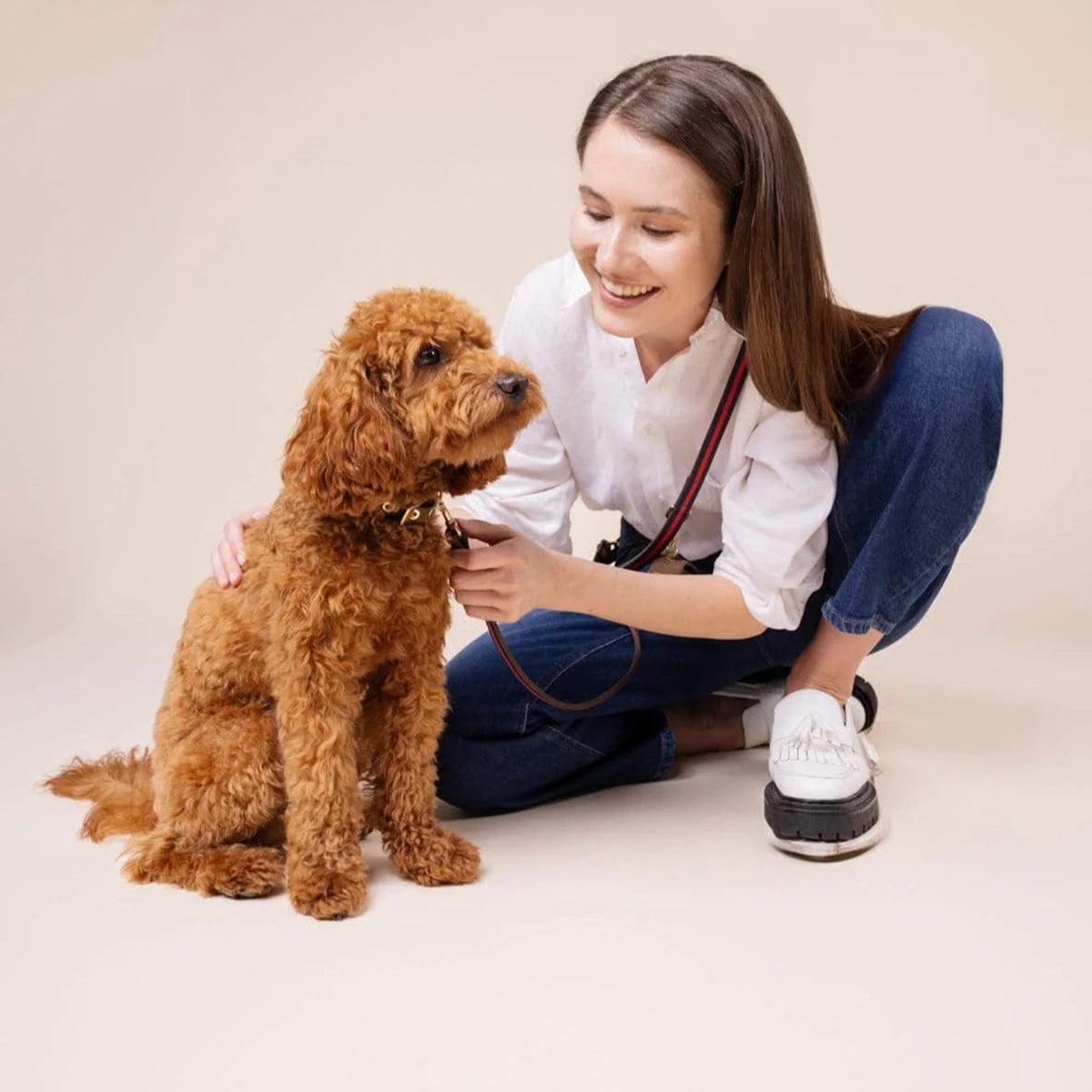 Pochette à friandises pour chien - CHARLES & FLORENCE - Kasibe