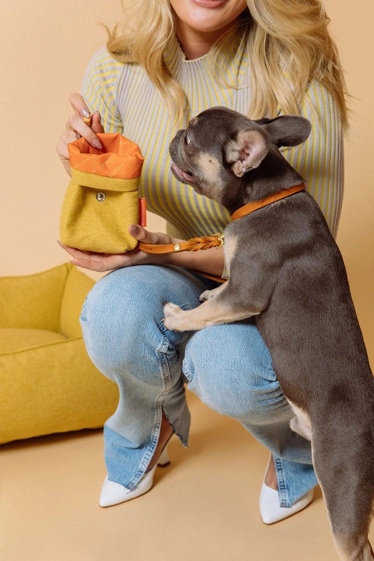 Pochette design à friandises pour chien - ALPINE - Kasibe