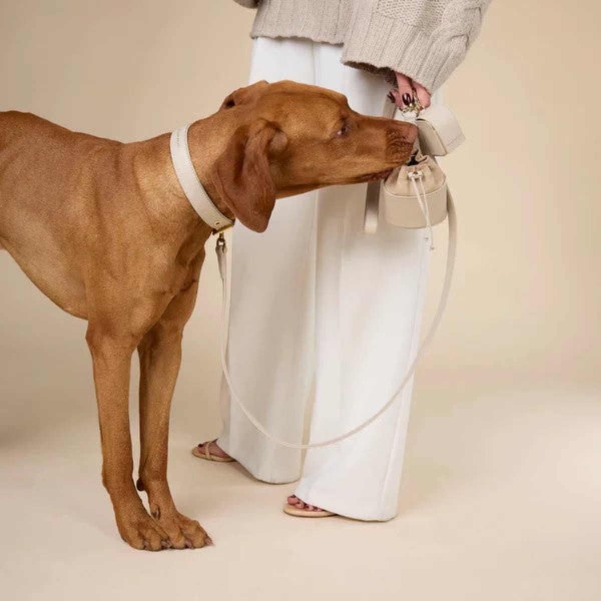 Pochette pour sacs à déjections canines - DAIM COORDONNE - Kasibe