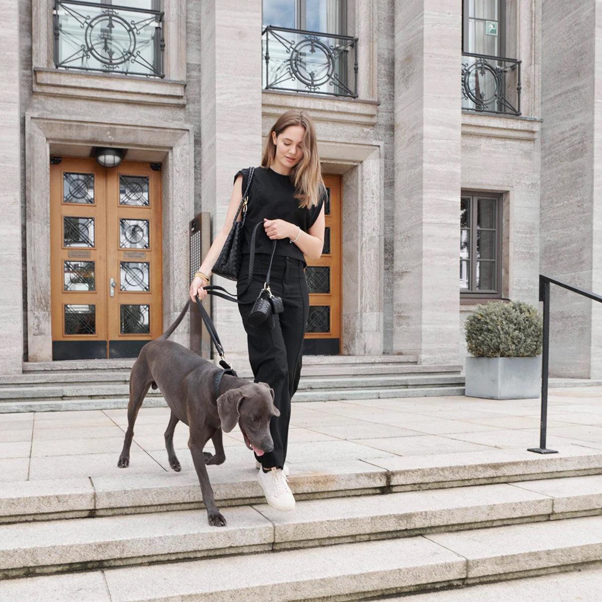 Poopbag pour chien en cuir - PRESTIGE - Kasibe