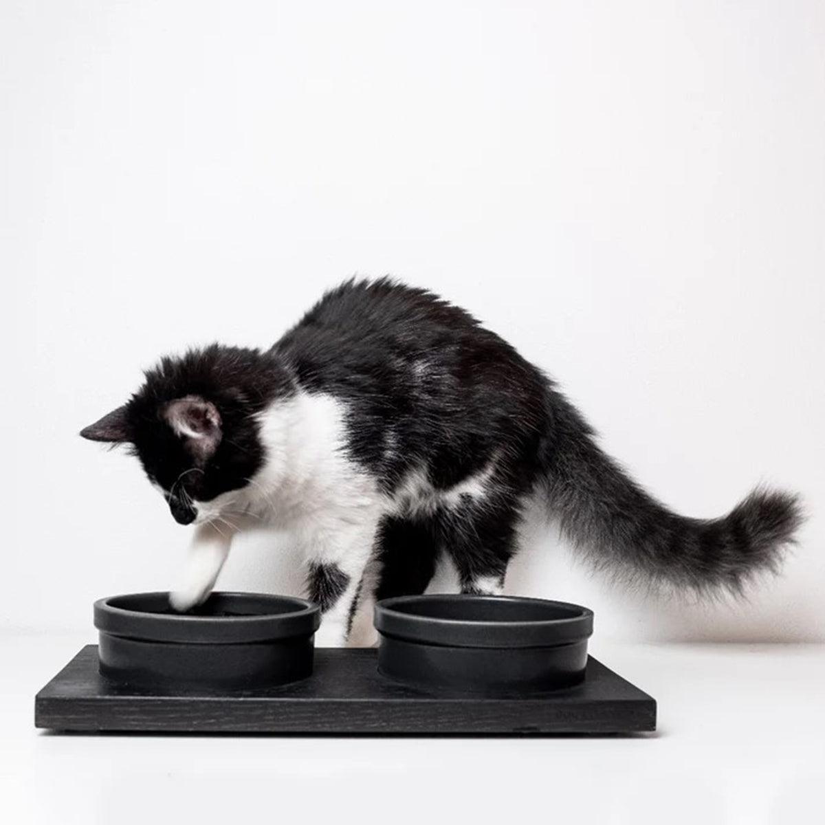 Porte gamelle pour chat - TECCA T - Kasibe