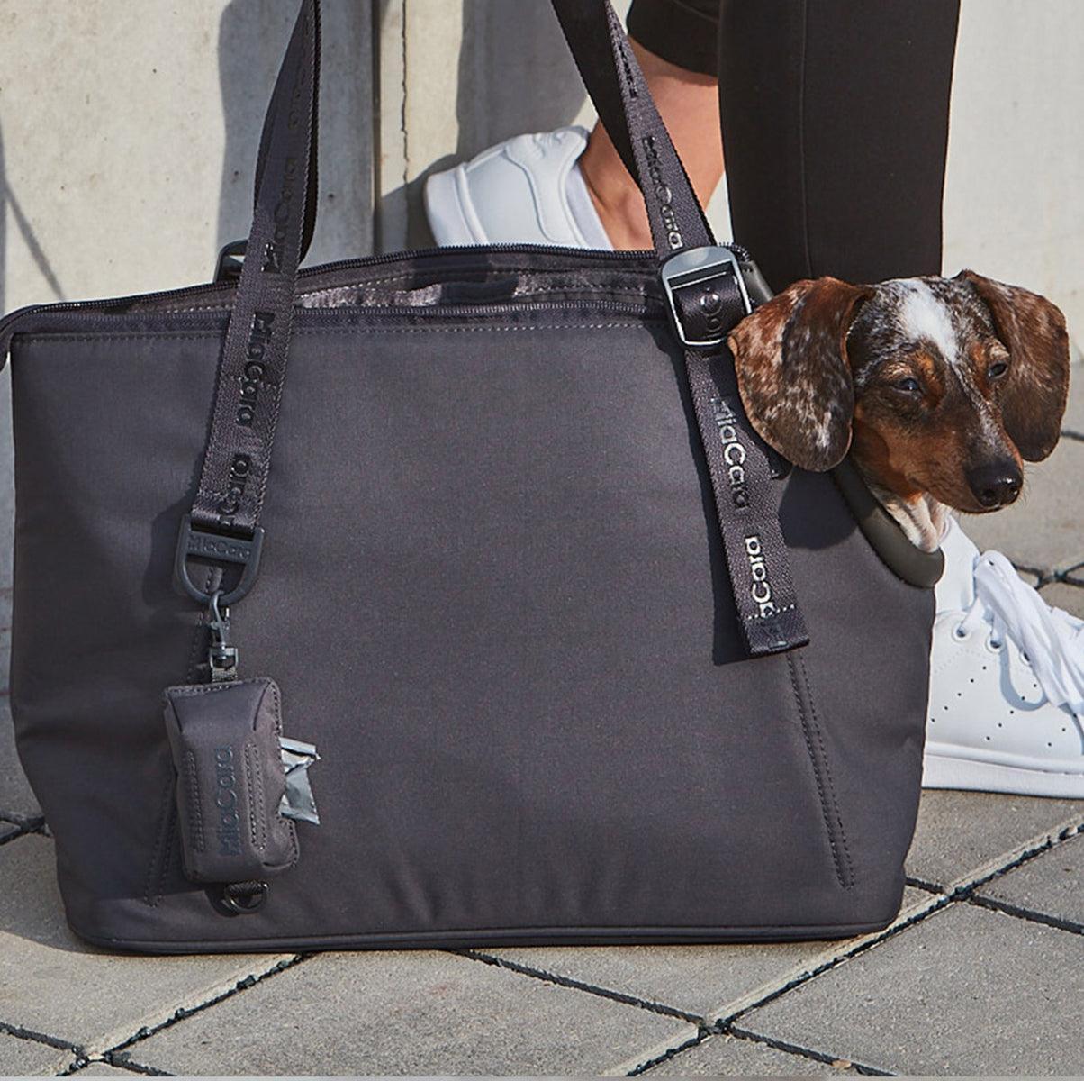 Porte-sacs à crottes - SACCHETTO - Kasibe