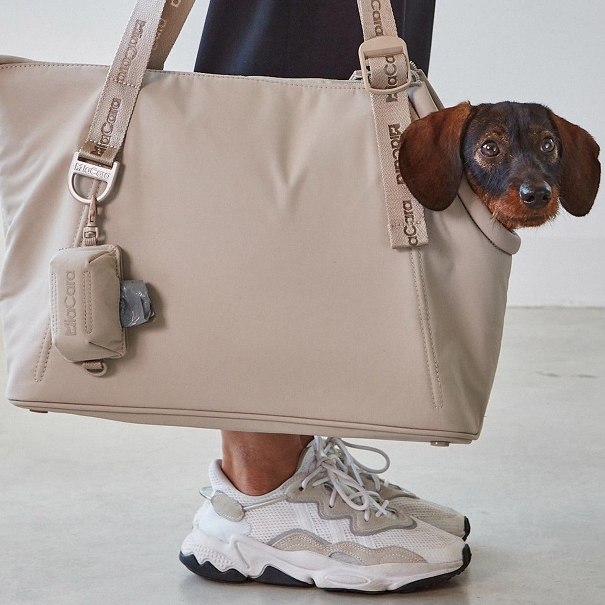 Porte-sacs à crottes - SACCHETTO - Kasibe