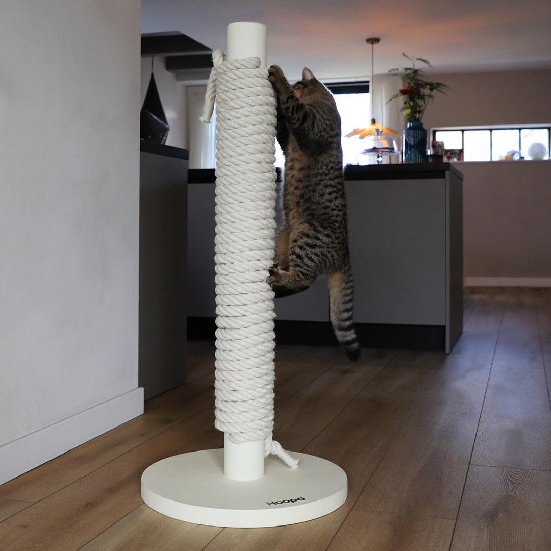 Poteau griffoir pour chat - TOTEM - Kasibe