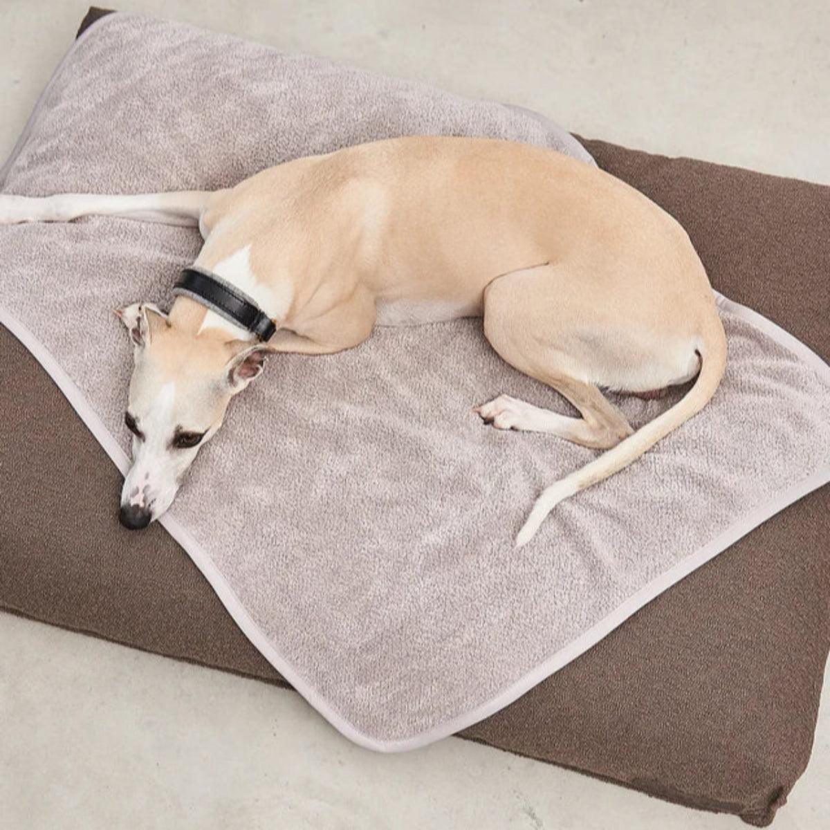 protection de canapé pour chien beige - kasibe