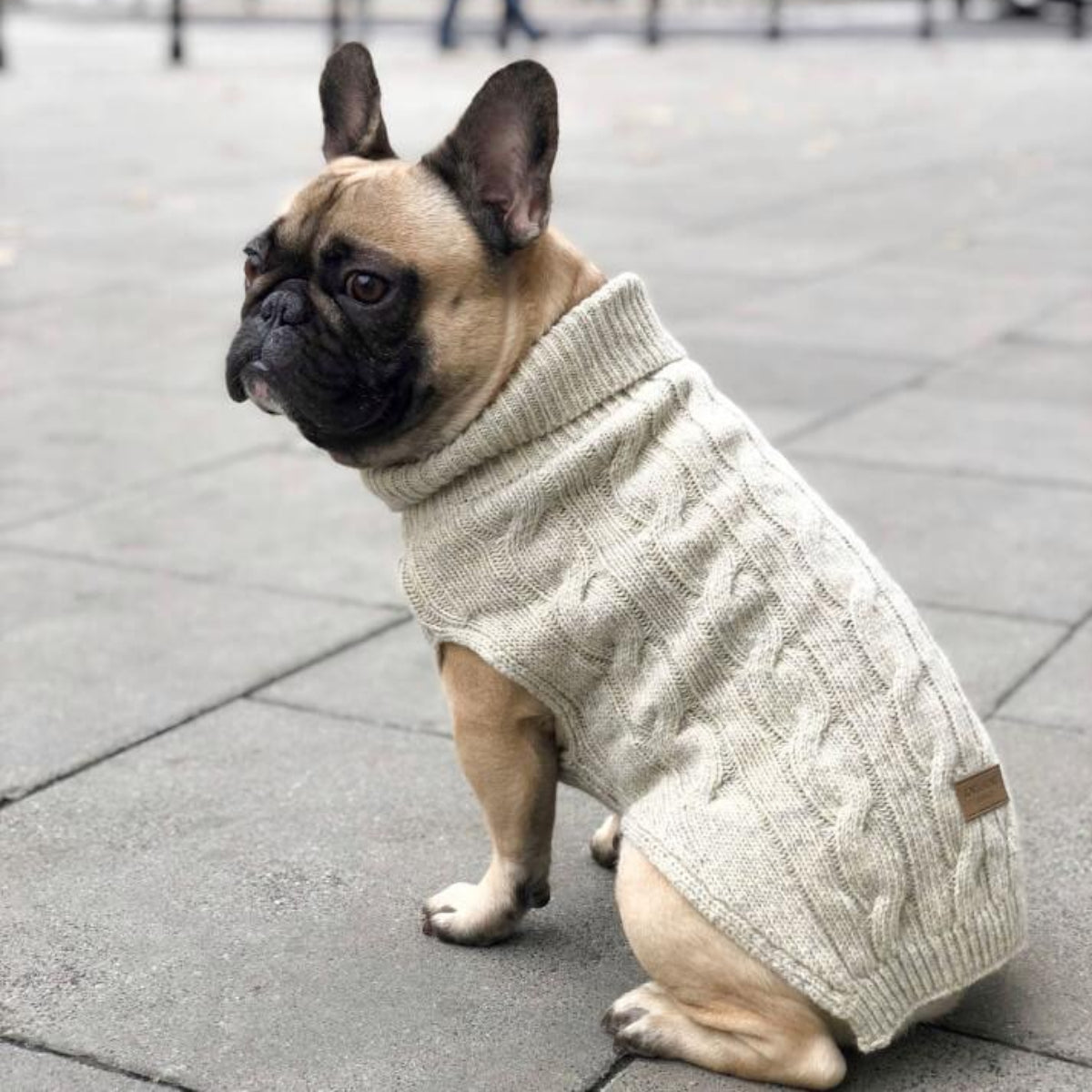 Pull en laine pour chien - ASPEN - Kasibe