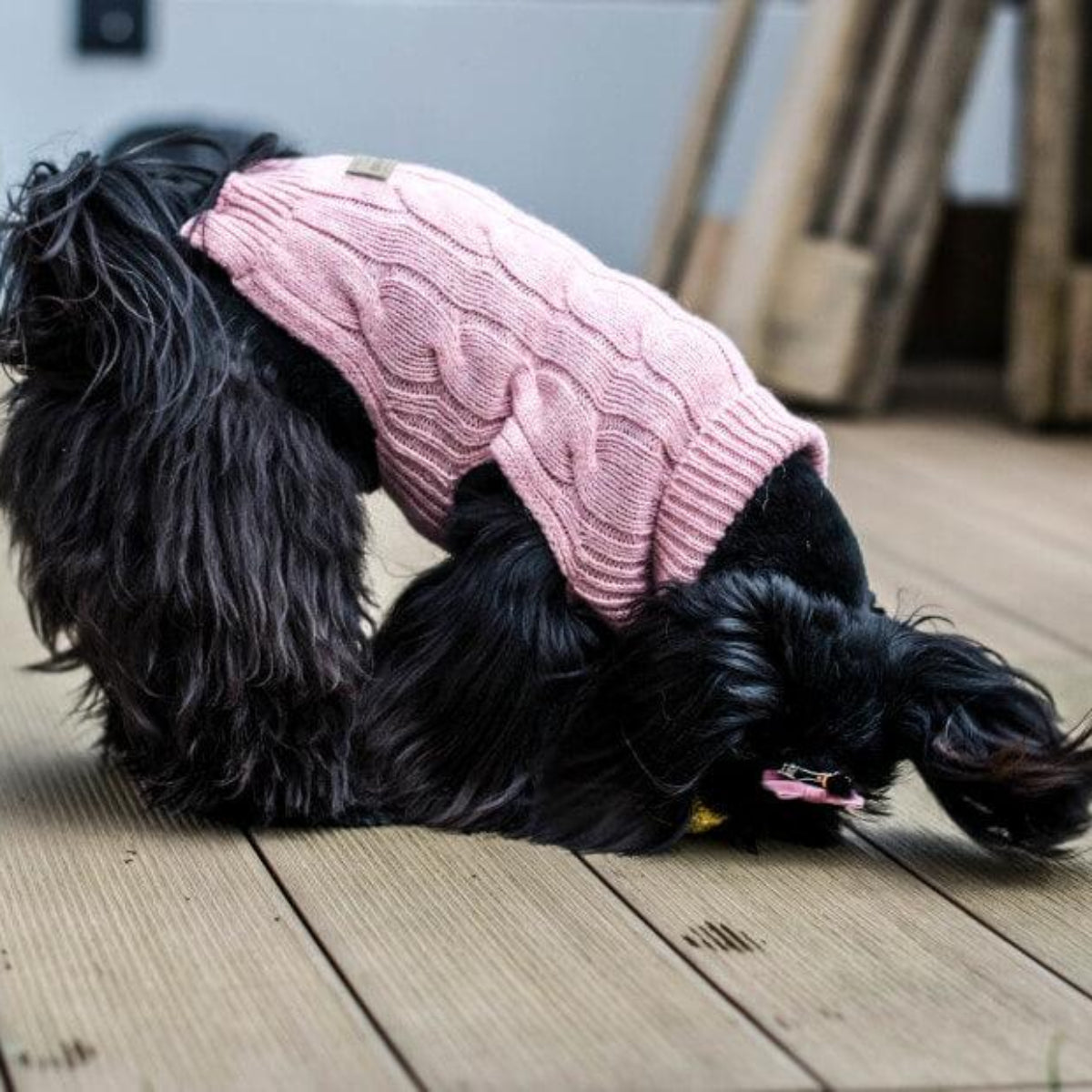 Pull en laine pour chien - ASPEN - Kasibe