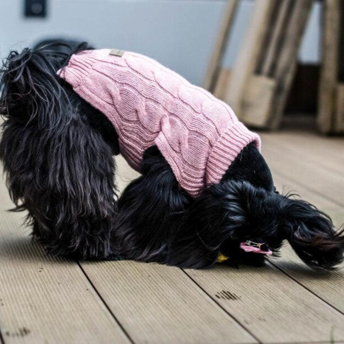 Pull en laine pour chien - ASPEN - Kasibe