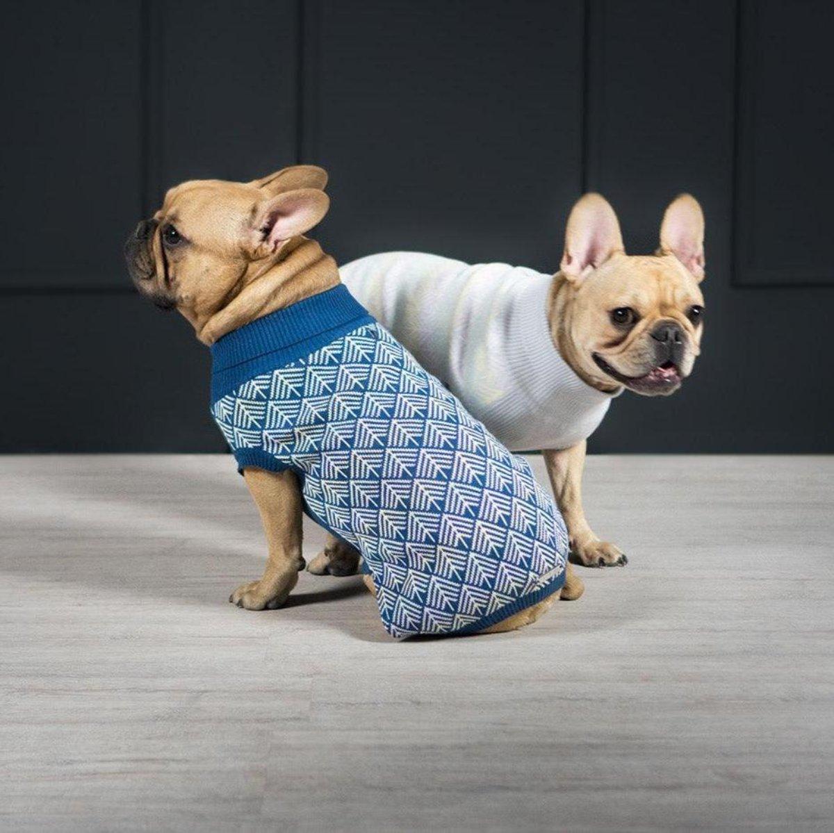 Pull pour chien - JUMPER - Kasibe