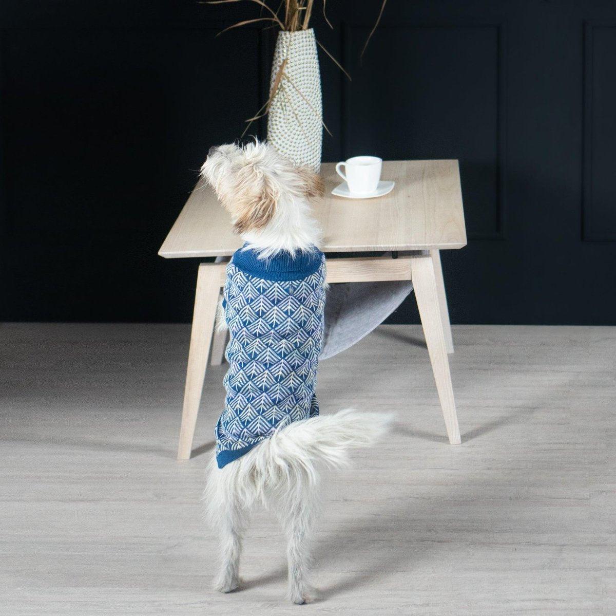 Pull pour chien - JUMPER - Kasibe