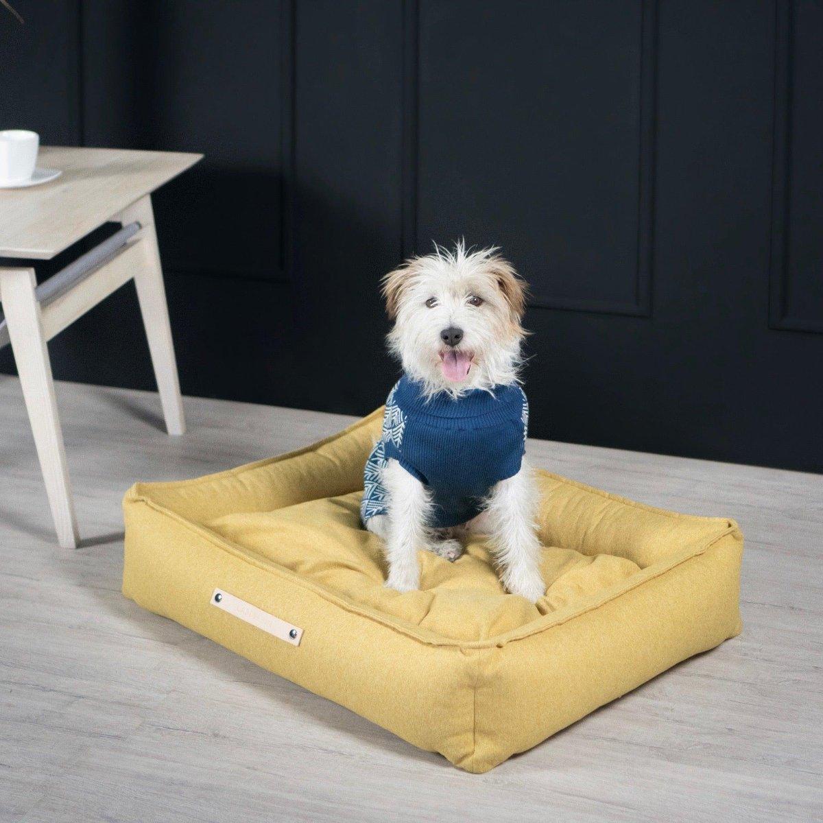 Pull pour chien - JUMPER - Kasibe