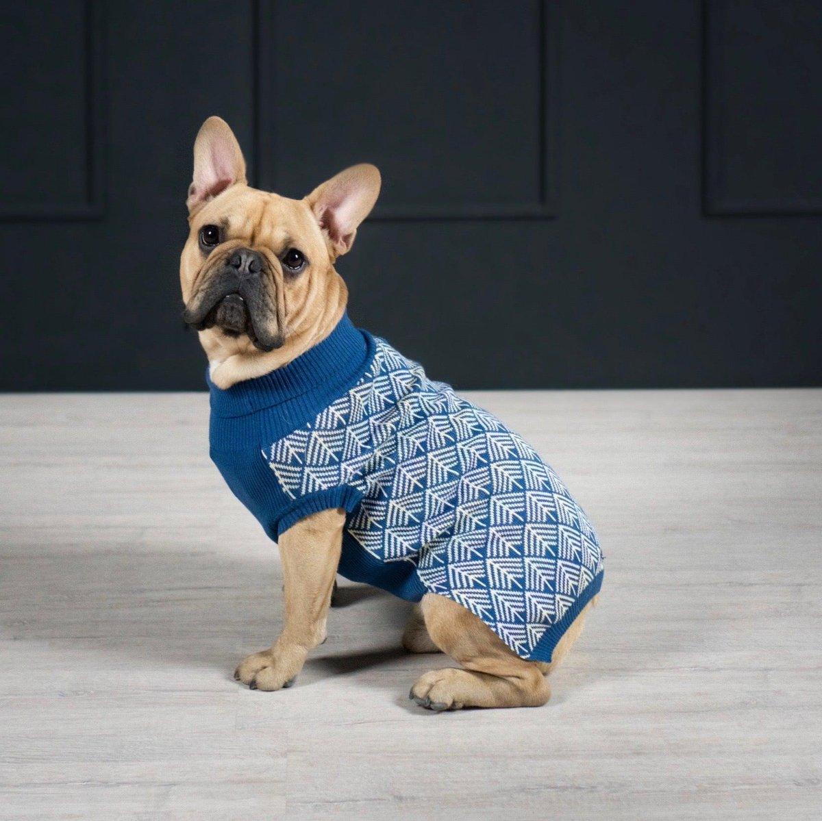 Pull pour chien - JUMPER - Kasibe