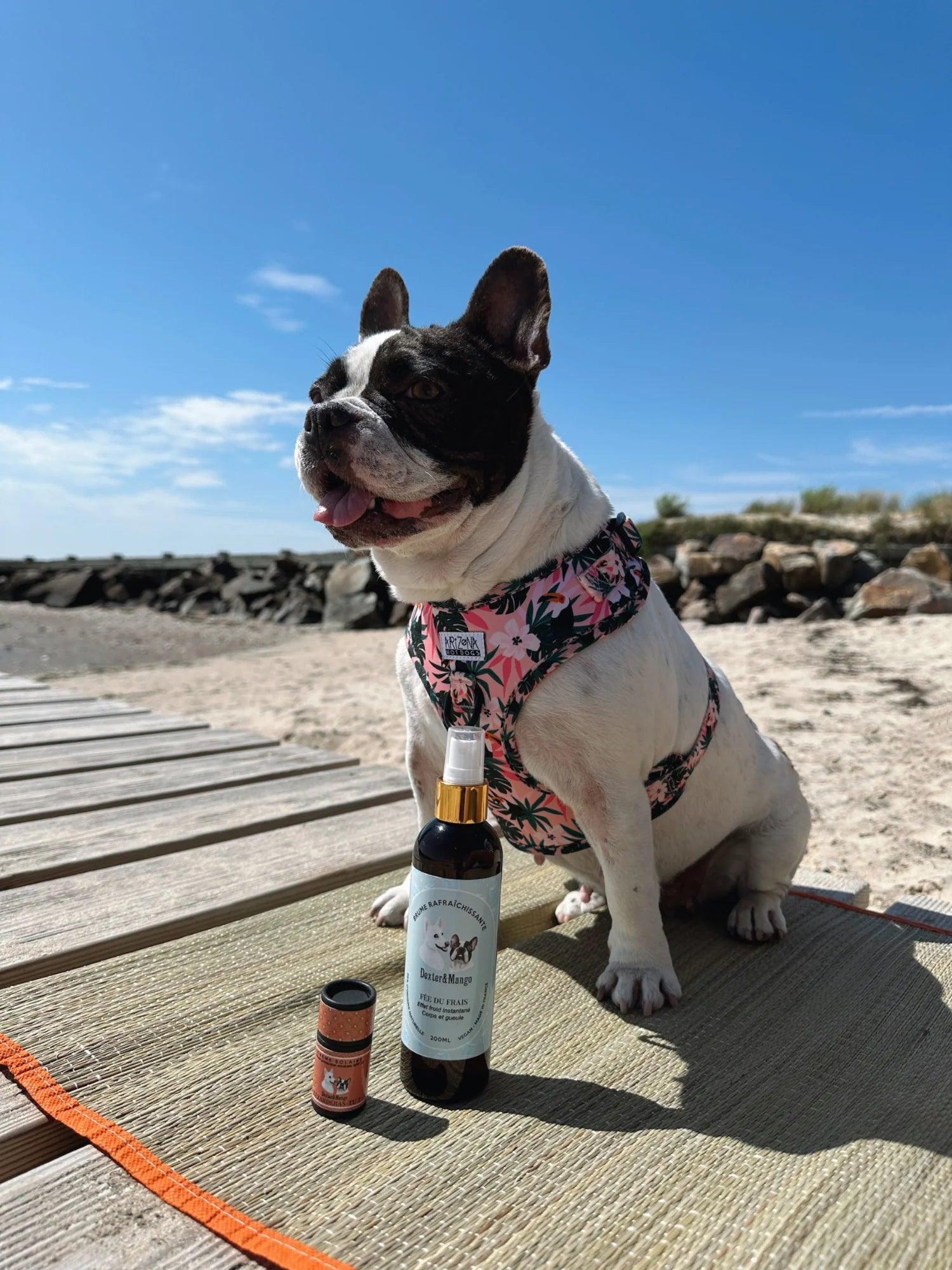 Rafraîchissant pour chien - FEE DU FRAIS - Kasibe