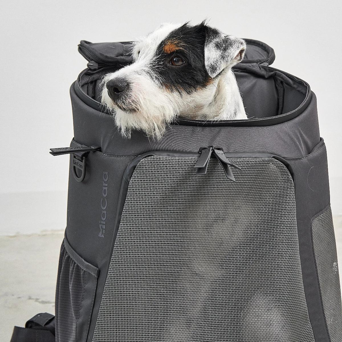 sac à dos pour chien gris - kasibe