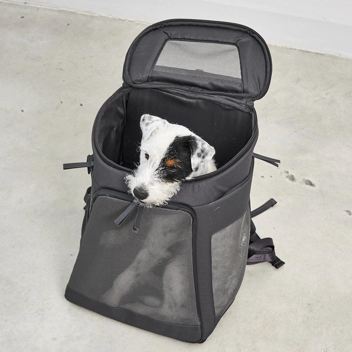 sac à dos pour chien gris - kasibe