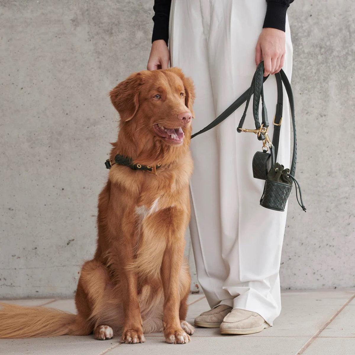 Sac à friandise pour chien en cuir - PRESTIGE - Kasibe