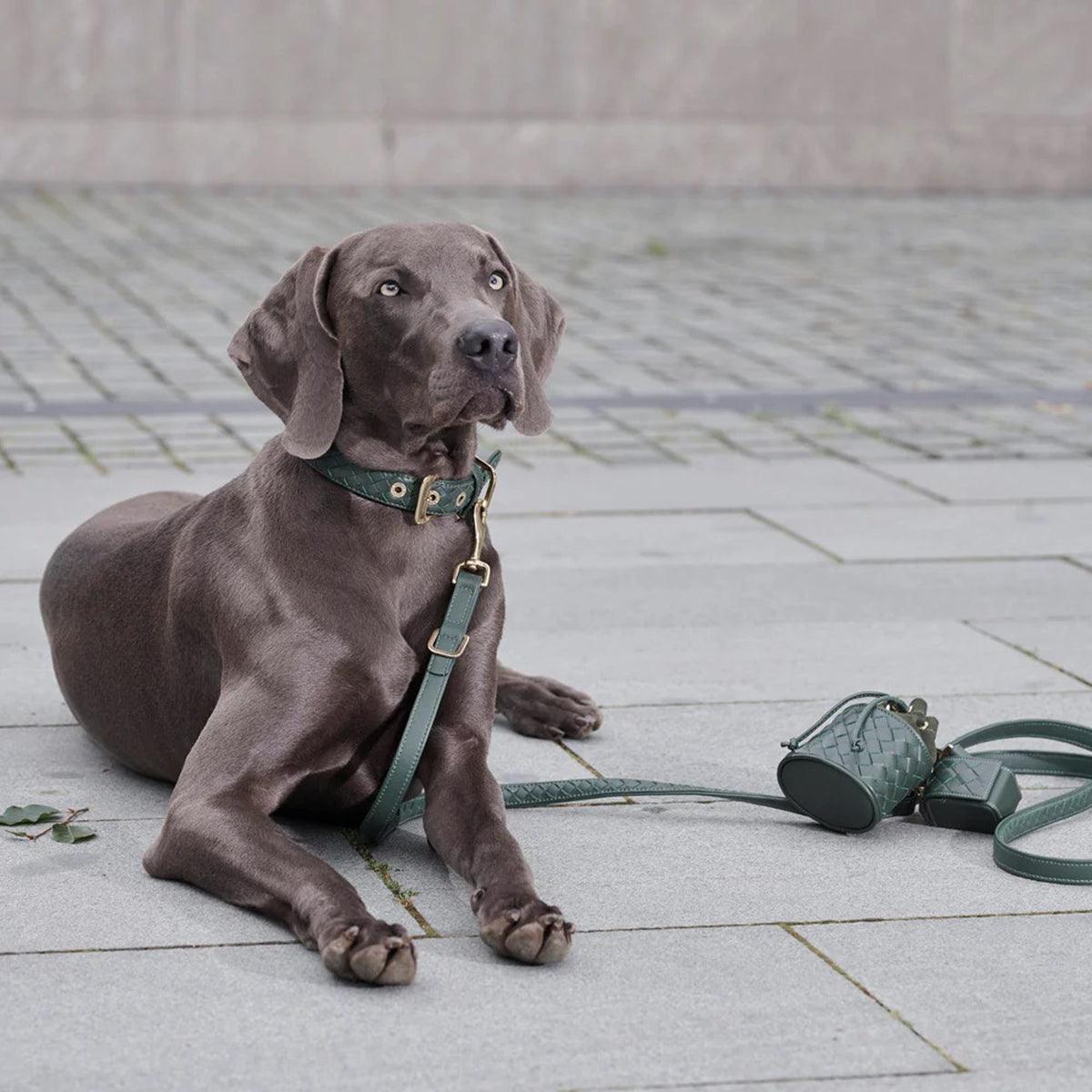 Sac à friandise pour chien en cuir - PRESTIGE - Kasibe