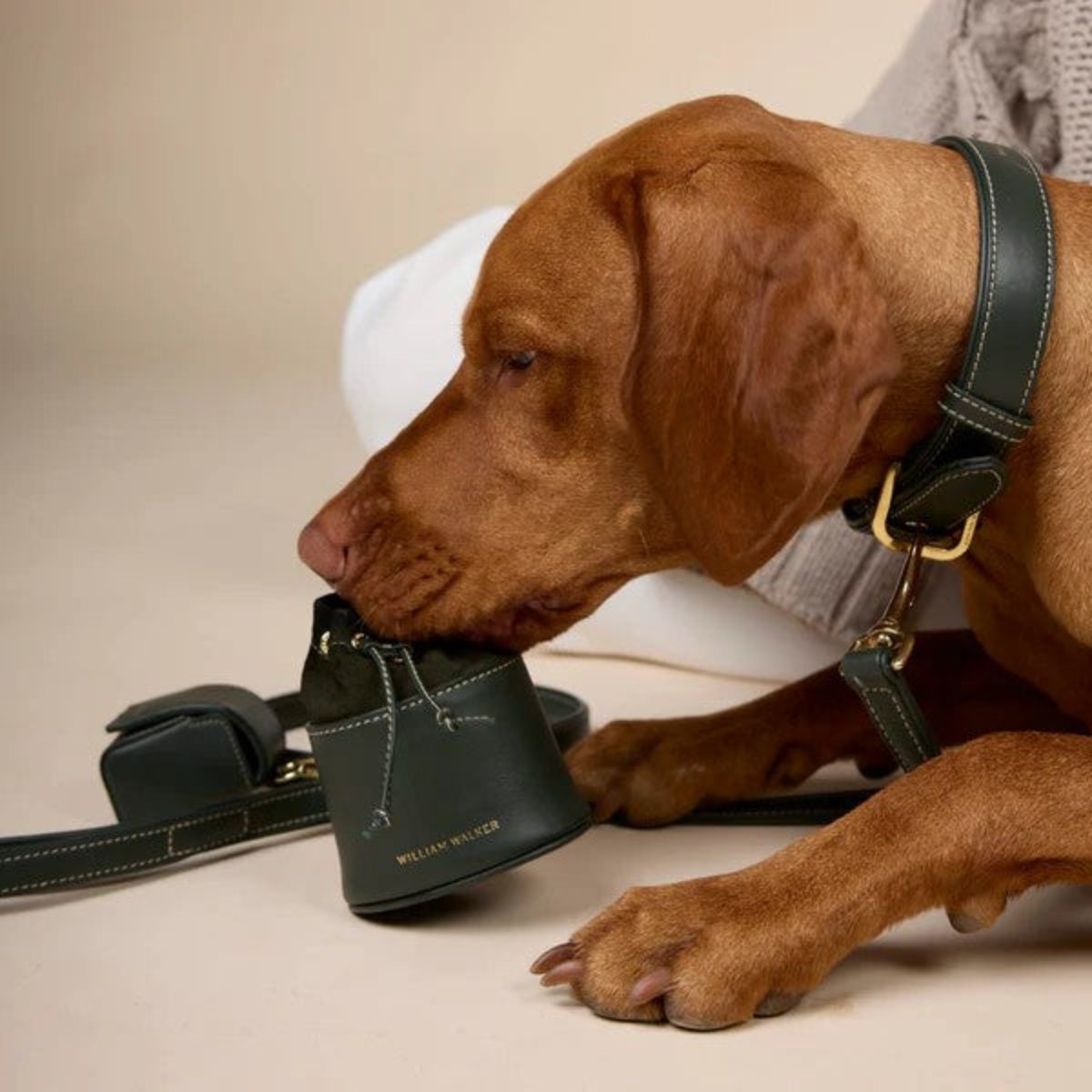 Sac à friandises pour chien en cuir - LUXE - Kasibe