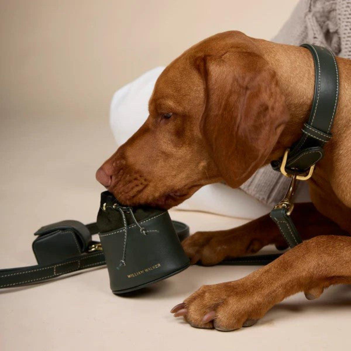 Sac à friandises pour chien en cuir - LUXE - Kasibe